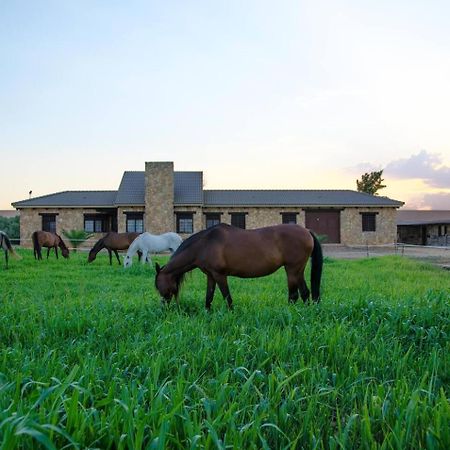 Fuente Palmera Casa Ecuestre Carmen Martinez B&B 외부 사진
