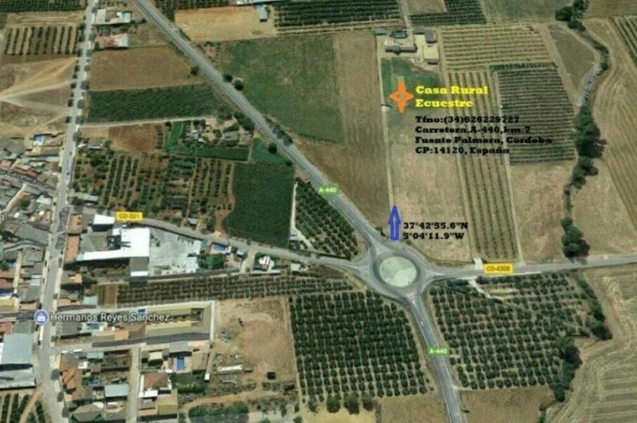 Fuente Palmera Casa Ecuestre Carmen Martinez B&B 외부 사진