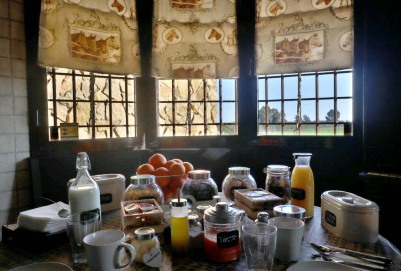 Fuente Palmera Casa Ecuestre Carmen Martinez B&B 외부 사진